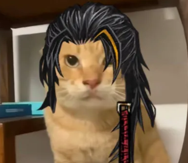 Mitasul 的头像